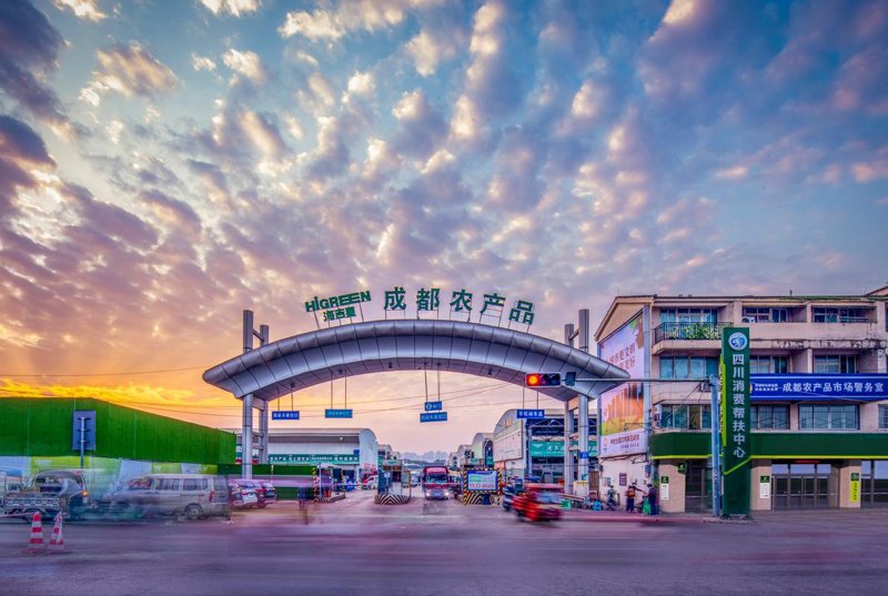 成都商贸公司市场观察与展望